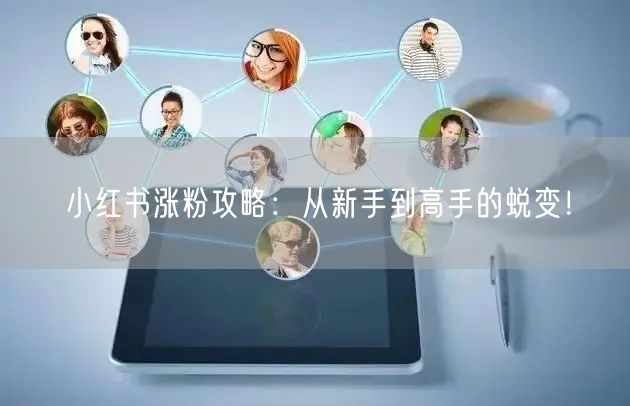 小红书涨粉攻略：从新手到高手的蜕变！