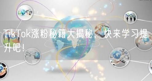 TikTok涨粉秘籍：精准运营+优质创作